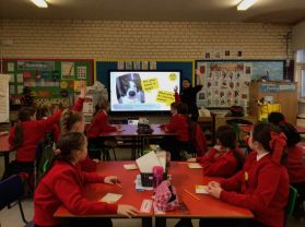 A Visit from Dogs Trust